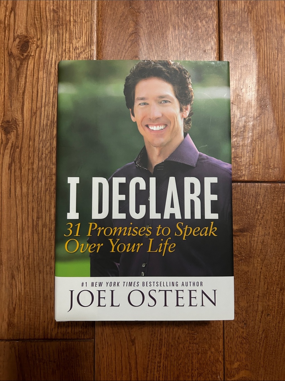 I Declare by Joel Osteen - Green & Purple Cover